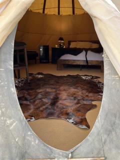 Gorgeous Wild Horse Tipi Near West Yellowstone - Cliff Lake - 5