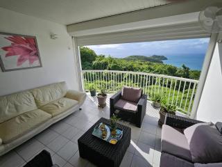 Nymphéa, 2 chambres 2 SDB Anse à l âne, trois ilets - Les Trois-Îlets - 8