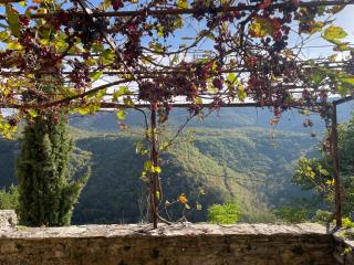 L'Oustal du Larzac, gîte en Aveyron - 8