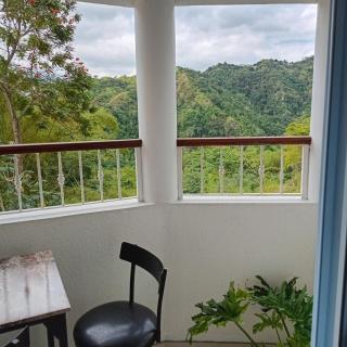 Gorgeous 1 Bedroom Apartment in the Kingston Hills - Kingston - 4
