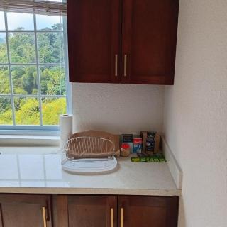 Gorgeous 1 Bedroom Apartment in the Kingston Hills - Kingston - 3