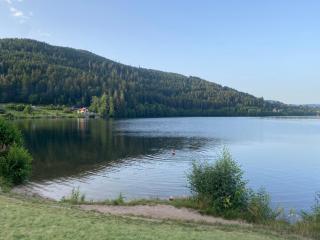 Appt 50m2, 4 personnes, ménage, draps et serviettes inclus - Gérardmer - 9