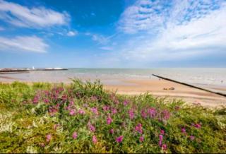 Buxton's Holiday Home - 'Park Holiday's' complex - St Osyth - Clacton-on-Sea - 5
