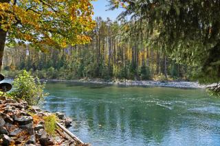 Baring Bend Lodge - 9