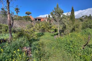 Hacienda La Centenaria casas rurales II - El Paso - 4