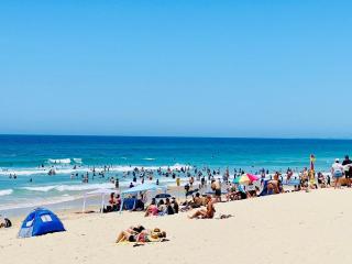 High Level 1BR Apartment 1 MIN to Beach - 8