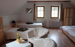 Apartments Odměny U Třeboně - Třeboň - 6