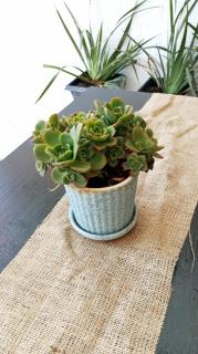 Monoambiente céntrico - 8