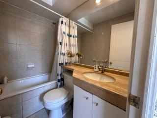 Living Pastene - Santiago - 1