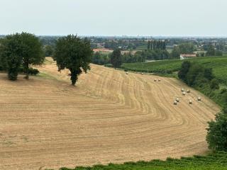 Casa del vigneto - - 3