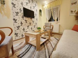 Ravana Sky Apartments - Ivanjica - 1