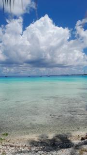 Rangiroa Te Manuia Lodge - - 5