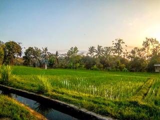 Ubud Paradise Villa - Ubud - 0