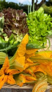 La Terrazza sulla Versilia - 8