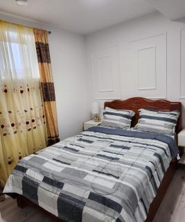 2 bedrooms luxury basement suite close to Calgary airport - 4