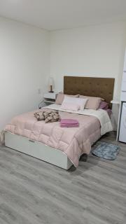 Monoambiente céntrico en planta baja con patio - Rosario - 9