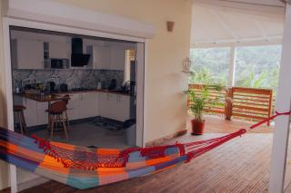 la Canne a sucre - 0