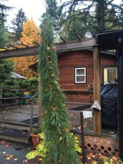 Oyster River Guest Room - Campbell River - 9