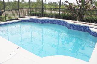 PF469C Patriots Palm - 9