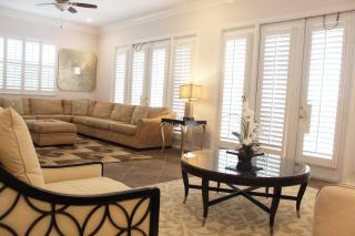 PF469C Patriots Palm - 6