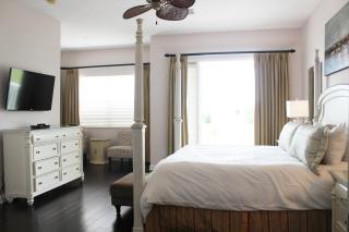 PF469C Patriots Palm - 3