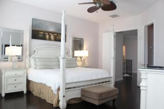 PF469C Patriots Palm - 1