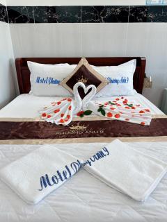 Phương Anh 9 Hotel - Danang - 8