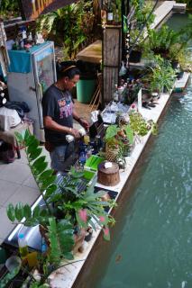 Tropical Hostel - Phi Phi Don - 3