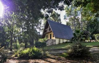 Cabaña Alpina La Delfina - Villa Giardino - 0