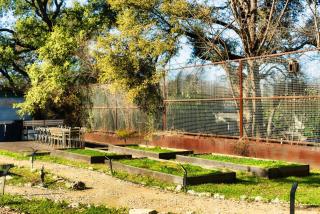 Cozy Tiny Home on an Eco Farm Huge Yard - Austin - 4