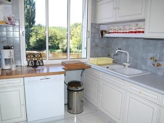 Charmante maison XIXe siècle bord de Vézère - FR-1-824-6 - Le Bugue - 4