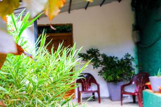Mom's Homestay - Sigiriya - 8