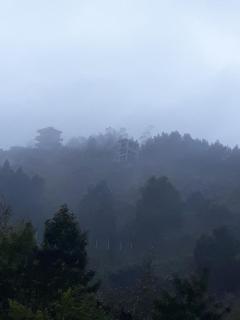 Arunai Grand Kodaikanal - Kodaikānāl - 2