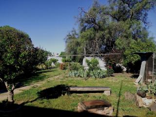 Murtoa Miners Cottage - Murtoa - 2