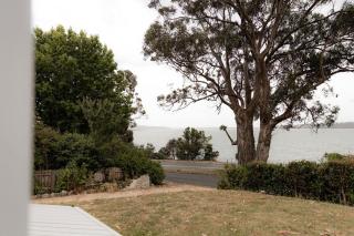 The Little Pearl - Front row at Beauty Bay - St Helens - 8