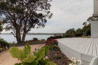 The Little Pearl - Front row at Beauty Bay - St Helens - 1