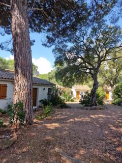 Studio pour 2 personnes à 700m de la plage de palombaggia - 3