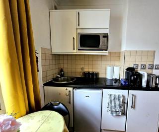Elegant Spacious Studio Apartment in London - Londra - 5