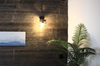 Le Refuge Tropical Taine - Annecy - 7