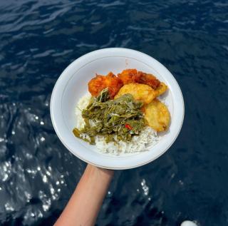 Manta Homestay - Raja Ampat - - 7