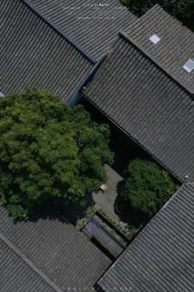 拾贰小院 - - 4