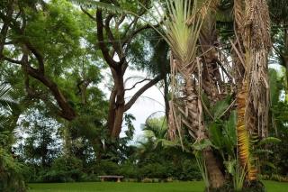 St George's Guest House - Tzaneen - 2