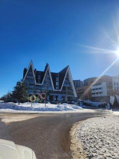 Central Lux Bjelašnica - Aroma - Bjelašnica - 9