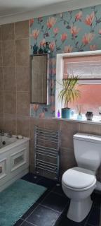 Quirky Victorian three bedroom terraced house - Eastleigh - 3