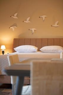 Seagulls' House - Evdilos - 0