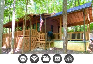 Cant Wait to Hibernate Cabin - Sevierville - 0