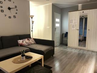 Apartament Blondynka Miasto Soli Bochnia - Bochnia - 5