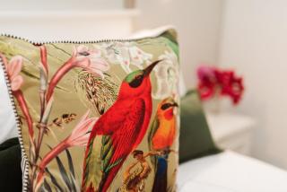 Studio in Central Stellenbosch - 0