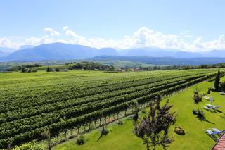 DAS MATSCHER Residence & Garden Hotel - Appiano sulla Strada del Vino - 1