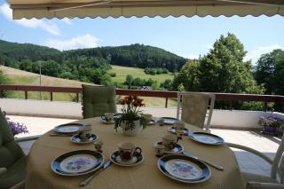 Villa Schwarzwaldblick - Seelbach - 9